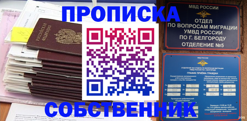 прописка законно в Зее